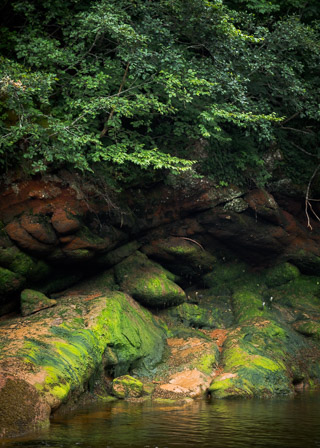 Green on Red Rocks