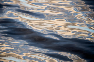 Bellis Lake Reflections