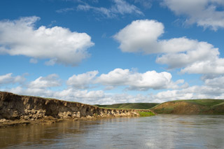 Summer on the Milk River