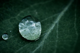 Surface Tension