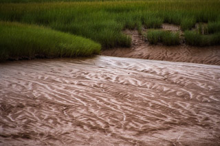 Tidal Tracks