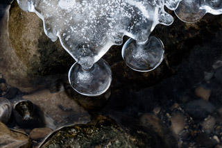 Ice Bells