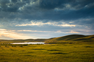 Golden Grass Below Darkening Skies