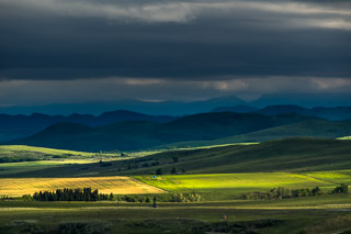 Quilted Prairie