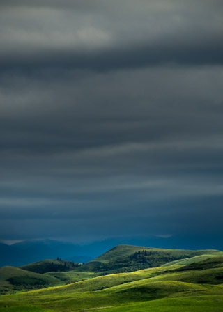 Blue Whaleback Horizon