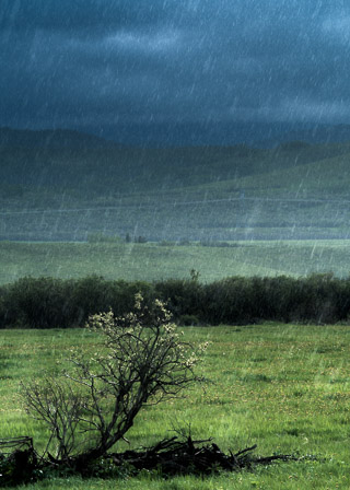 Have You Ever Seen the Rain