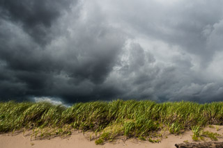 Storm Coming