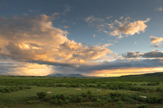 Evening Shower on the Sweetgrass Hills