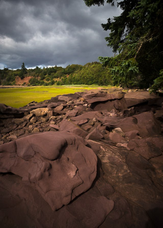 Sandstone Under Spruce