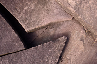 Sawtooth