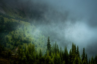 Cold Mist Entering the Valley