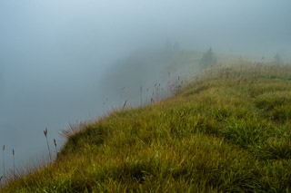 Freezing Fog on the Ridge