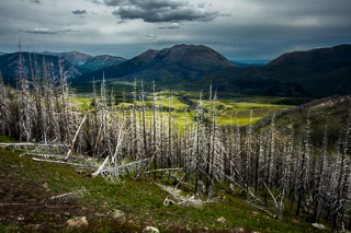 Lyons Creek Valley