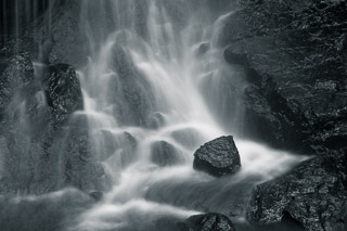 Midst of Motion