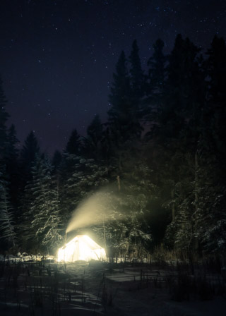 Cozy Among the Trees