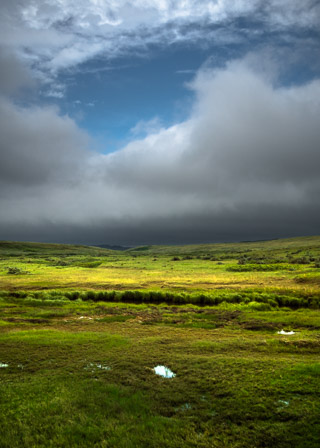 Calm Above the Storm