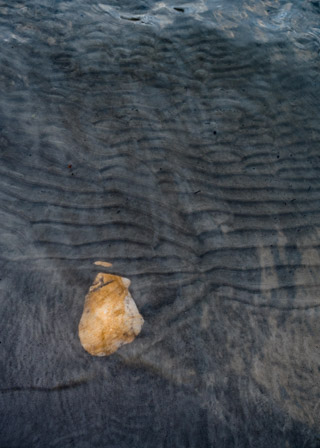 Ripples Interrupted