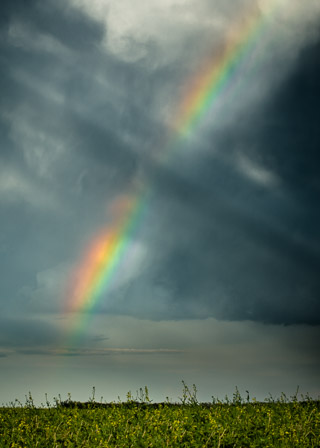 Rainbow Interrupted