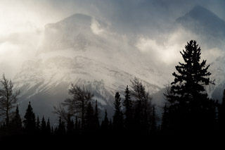 Ice Fog Over the Mountain Forest