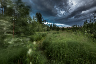 This Wind Brings Rain
