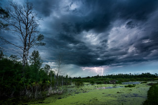 Electrical Storm