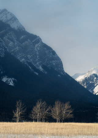 Dry Meadow in the Winter Mountains