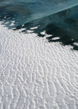 Remembering Cold Winds