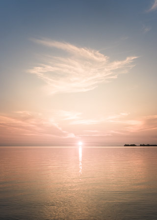 Spotlight Sunset