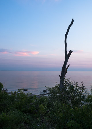 Last Light Fading