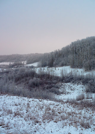 Stony Creek Valley