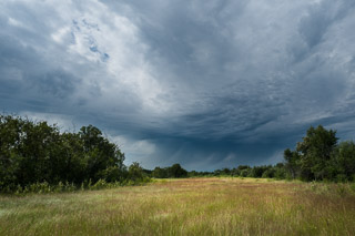 Storm Over Manitoba Meadow