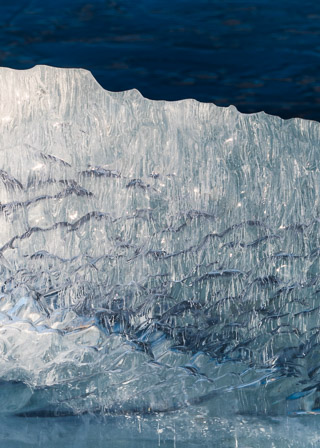 Vitreous Curtain