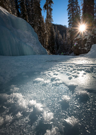 Sun Streaks and Snow Bristles