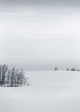 Minimalist Field