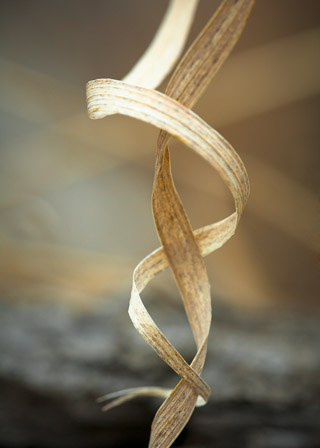 Weathered Spiral