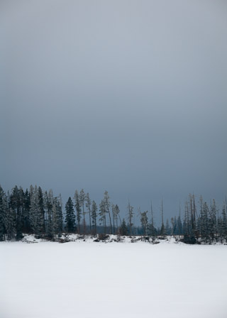 Thin Line of Trees