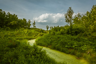 Green River