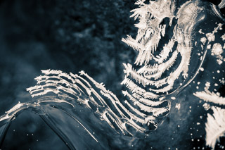 Frost Frills