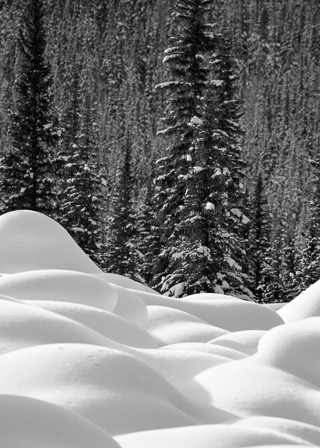 Piles of Snow