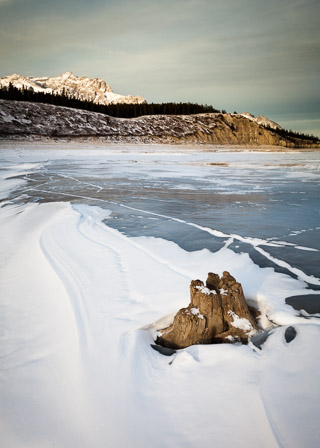Stump on Frozen Shore