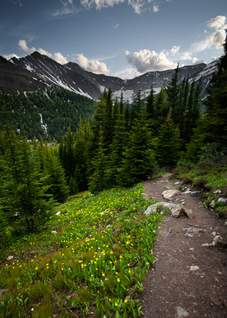 Down from Ptarmigan Cirque