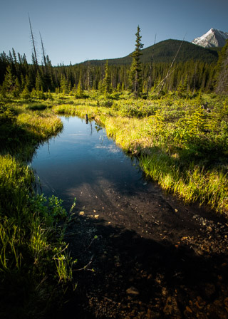 Winding Water