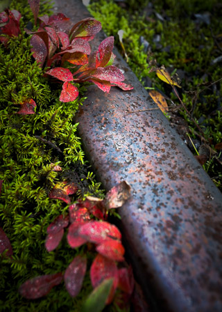 Rusty Track in the Rain