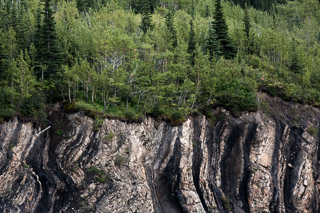 Coal Seams