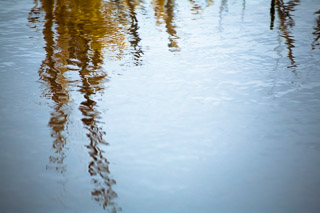 Autumn Pond Distortions