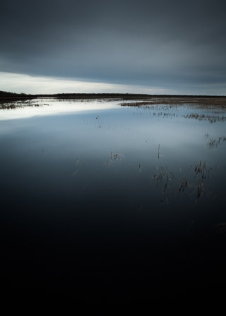 Sparse Shoreline