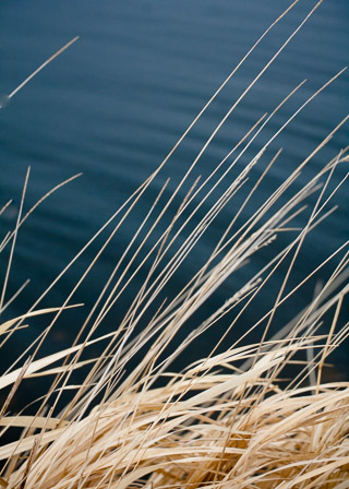 Water, Paper, Sticks