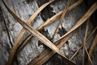 Weathered Rest