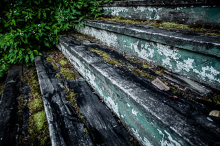 Stairs to Dogwood