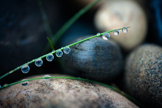 Lined Up